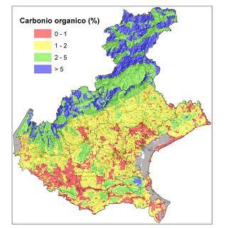 Mappa del contenuto di Carbonio organico