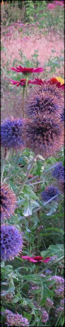 La rassegna è dedicata al tema sempre più attuale dei giardini naturali e naturalistici, spazi verdi che celebrano la Natura e la sua dinamica bellezza.