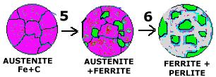 ] -LIQUIDO Fe fuso: Fe + C, (1 fase); -fase : soluzione solida C in Fe (1 fase) =FERRITE ;stabile a T=1534 C; -fase : soluzione solida C in Fe fase =AUSTENITE; la struttura cristallina del ferro γ C.
