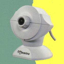 Webcam Minuscola telecamera a colori che digitalizza l immagine inquadrata e la comprime a velocità di 15 fotogrammi al secondo Con il software di videoconferenza il video viene trasmesso, in diretta