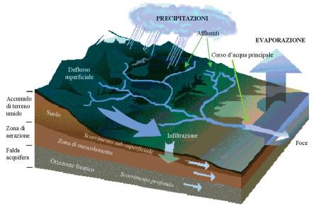 2. Caratteristiche generali dell ambiente fluviale I fiumi, come tutti i corsi d acqua interni, rappresentano la fase terrestre del ciclo dell acqua.