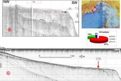 Corradi et al., 1984;), hanno condizionato la formazione, la preservazione e la continuità laterale dei corpi sedimentari.