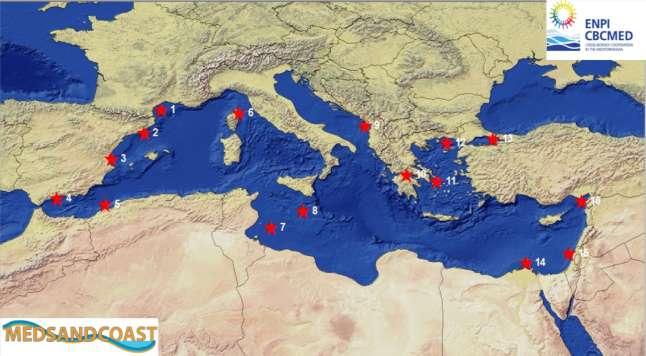 Fra gli obiettivi del TNEC occorre includere quindi una partecipazione più sistematica a iniziative internazionali quali il WGEXT ed EMSAGG.