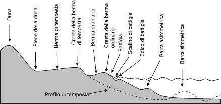 ambito e, in particolare nelle zone in erosione, il suo volume deve essere oggetto di un attento monitoraggio. da Pranzini, 2004 Figura IV.1.