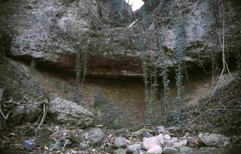 Particolare di paleosuolo (presso Porto d Adda) NOME LOCALIZZAZIONE DESCRIZIONE INQUADRAMENTO GEOMORFOLOGICO E GEOLOGICO Affioramenti di conglomerato presso Porto d Adda Scarpata del terrazzo