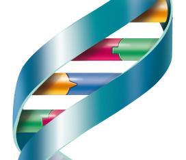 Il DNA (acido desossiribonucleico) Il DNA si trova