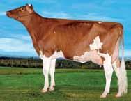 NA JA-BOB JORDAN-RED VG-89 STELBRO RICKY RENITA RC 8-00 2x 365d 41,583m 3.5% 1463f 2.