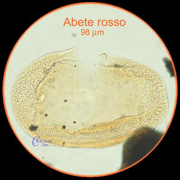Il polline risulta ben conservato nei substrati a ph acido come le torbiere e i laghi (acidità e condizioni anaerobie contrastano lo sviluppo microbico).