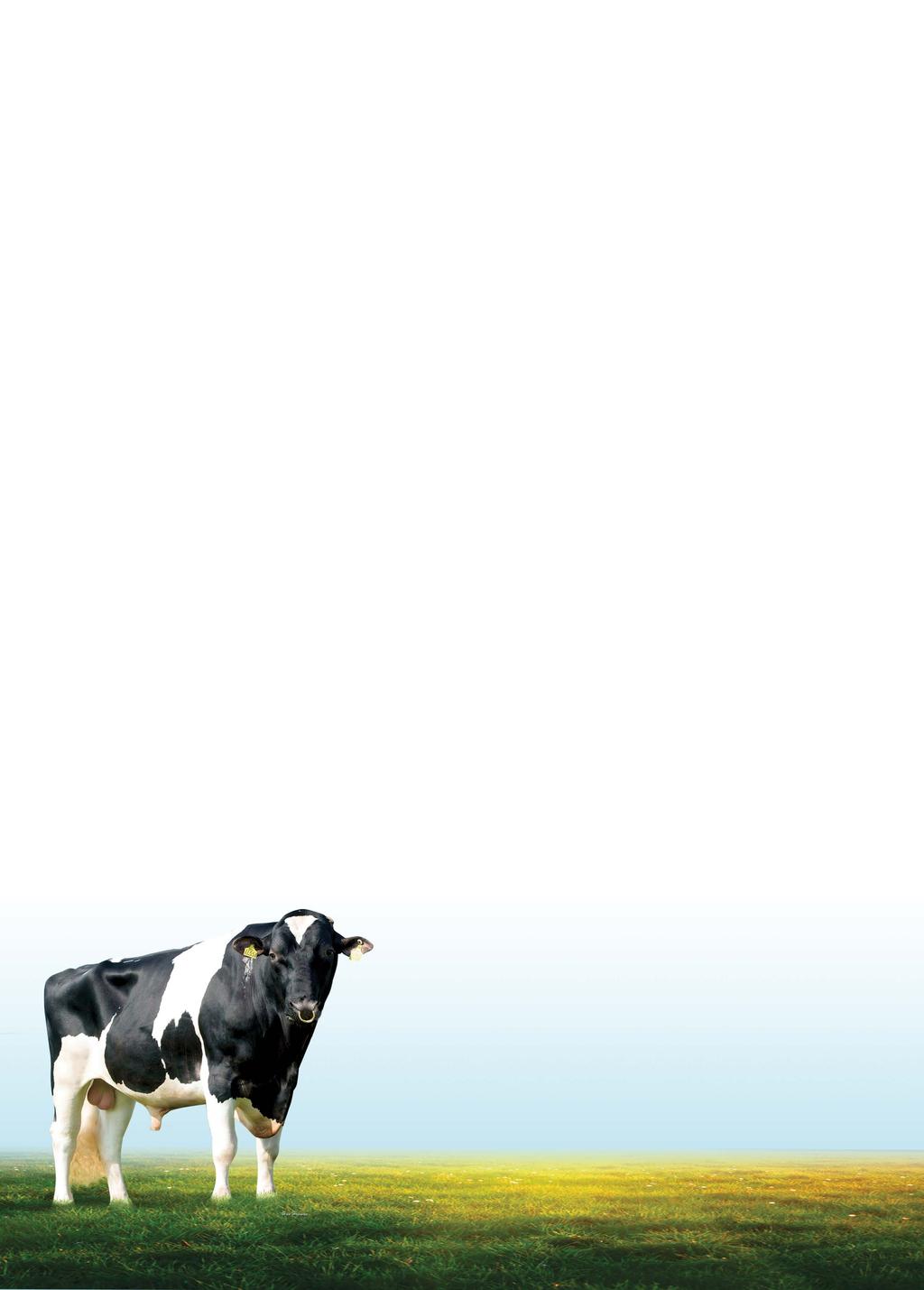 SCR: LO STANDARD PER FERTILITÀ TORI Tutte le aziende da latte hanno lo stesso obiettivo: riuscire ad ingravidare le vacche.