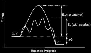 percorso di reazione diverso ma che ha una energia di attivazione minore, più facilmente raggiunta e