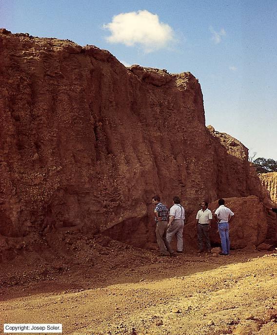 Weathering nei paesi tropicali Temperatura e presenza di acqua sono fattori chiave per lo sviluppo delle reazioni