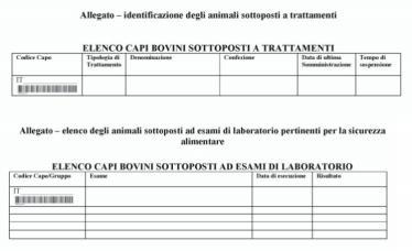 veterinario che fornisce assistenza zooiatrica.