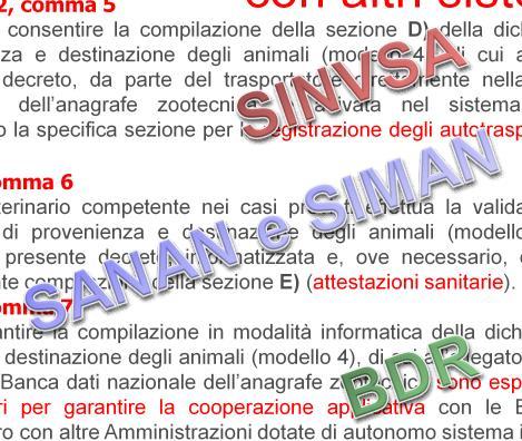 Viene abolita la necessità di stampare il modello in quattro copie Il modello registrato in BDN è sempre disponibile per la consultazione Una specifica app per dispositivi mobili ne facilita la