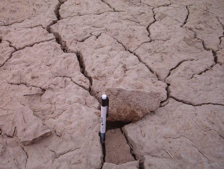 Abbassa il ph dei suoli alcalini Un terreno con ph alcalino è scarsamente produttivo e limita la tipologia di coltura da coltivare. In genere terreni di questo tipo sono di natura argillosa.