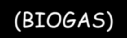La biomassa può essere utilizzata in vari modi: bruciata per produrre energia termica (in particolare il legno); fermentata in appositi digestori dove alcuni batteri la trasformano in GAS (BIOGAS);