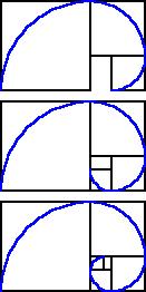 Spirale logaritmica Considerando il rettangolo aureo e la sua suddivisione in figure minori e simili, è possibile ottenere la creazione di questa spirale: essa è generata da archi di circonferenza