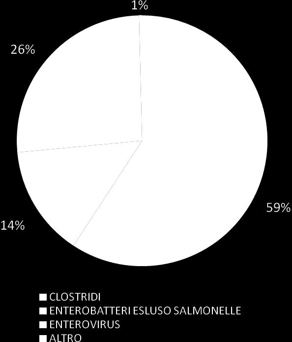 Nel 2011 le diarree infettive sono sostenute principalmente da Clostridium difficile, Enterovirus ed entobatteri escluse le salmonelle, come illustrato nel grafico a torta.
