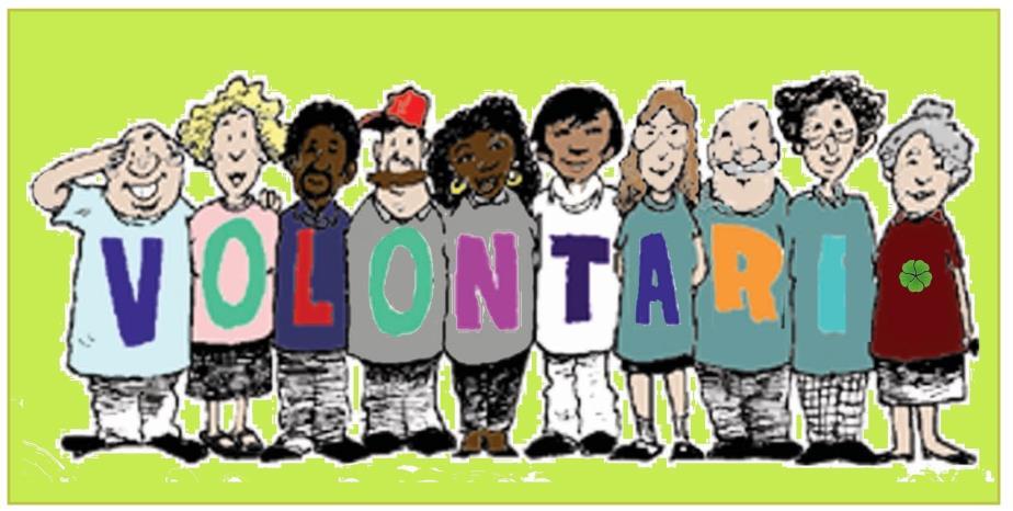 1. Volunteer Management Vision Il volontariato è definito come.