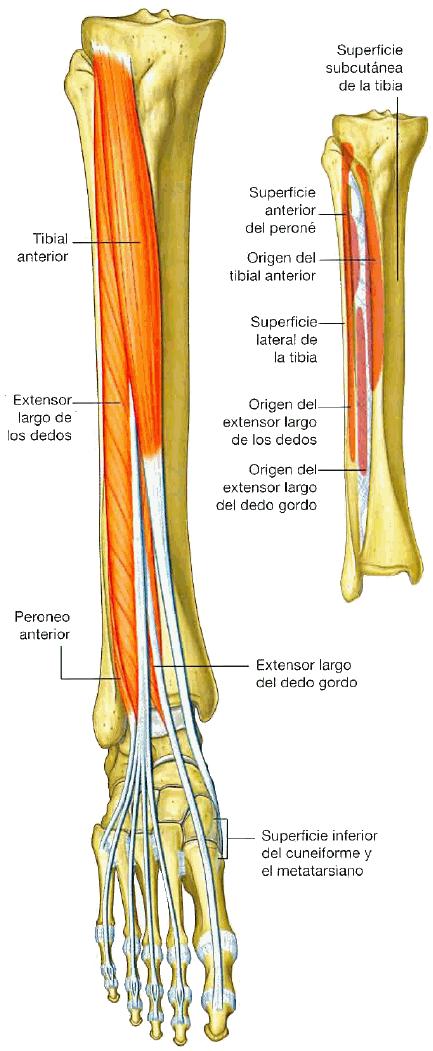 37 Figura 4.