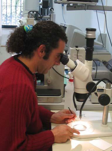 Microscopia ottica e diffrattometria XRD 11 Analisi al microscopio ottico binoculare delle sabbie campionate e