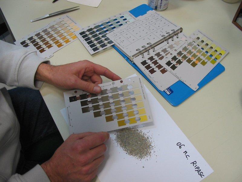 Determinazione del colore Preparazione dei campioni a secco per l analisi Determinazione per confronto con le