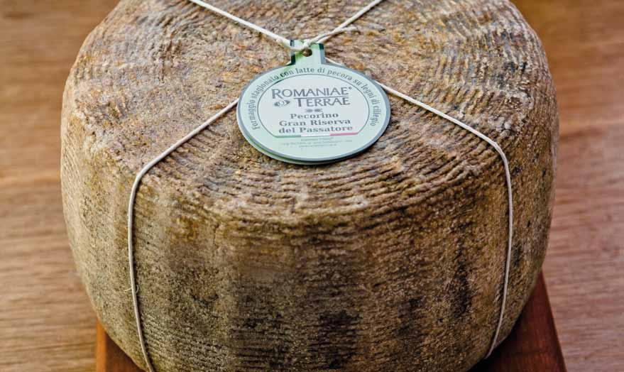 Pecorino Gran