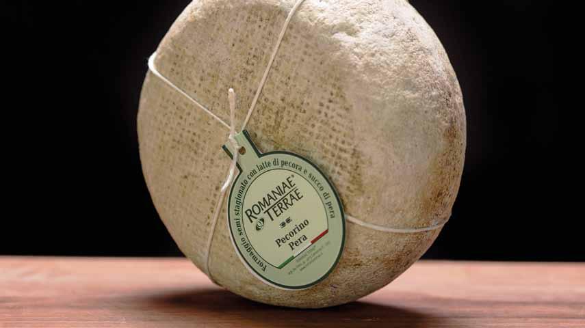 Pecorino