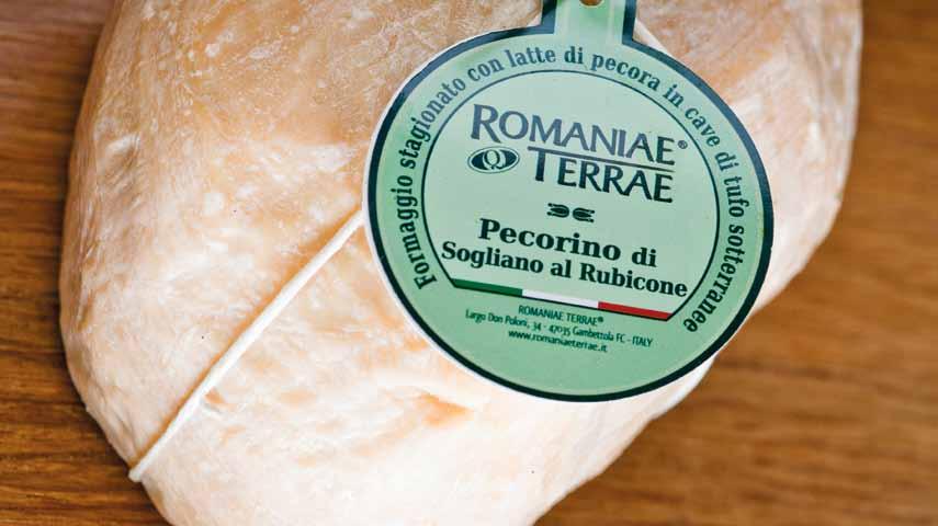 Pecorino di