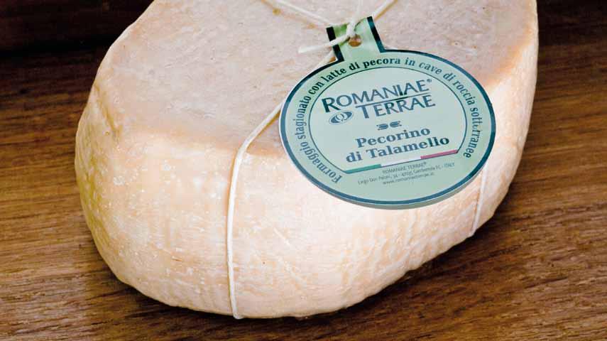 Pecorino