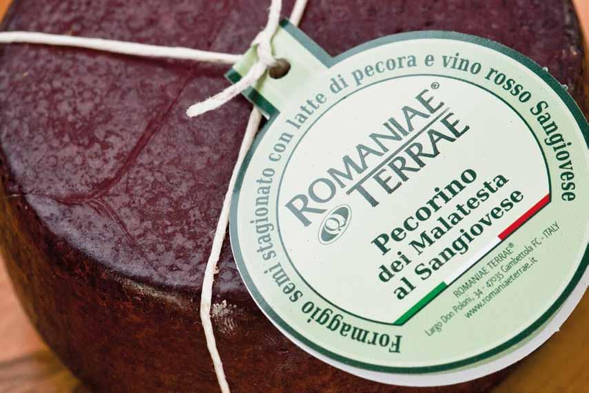 Pecorino dei Malatesta al Sangiovese Prodotto con latte di pecora pastorizzato a 72 C, raffreddamento a 32-35 C, vengono aggiunti i fermenti e sosta di fermentazione; aggiunta caglio e coagulazione