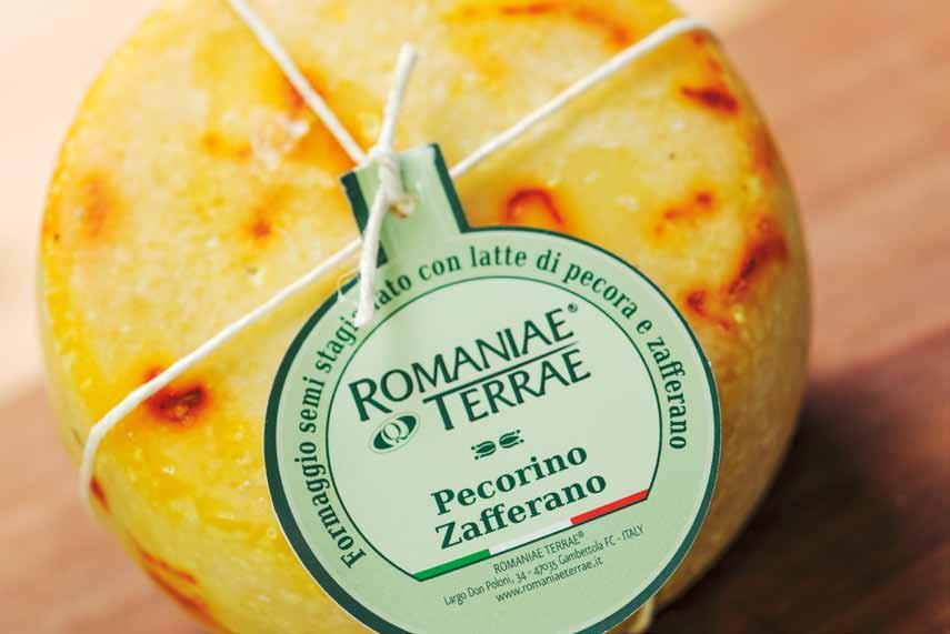 Pecorino allo Zafferano Prodotto con latte di pecora pastorizzato a 72 C, raffreddamento a 32-35 C,vengono aggiunti i fermenti e sosta di fermentazione; aggiunta caglio e coagulazione-rottura della