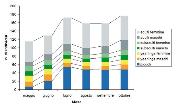 Grafico 1: distribuzione per classi di sesso ed età degli individui conteggiati nei diversi mesi del 2004.