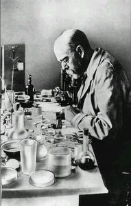 Roberto Koch 1882 I bacilli sono