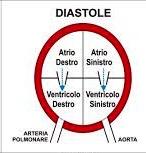 Durante il rilassamento muscolare ( diastole cardiaca) La pressione è dovuta al