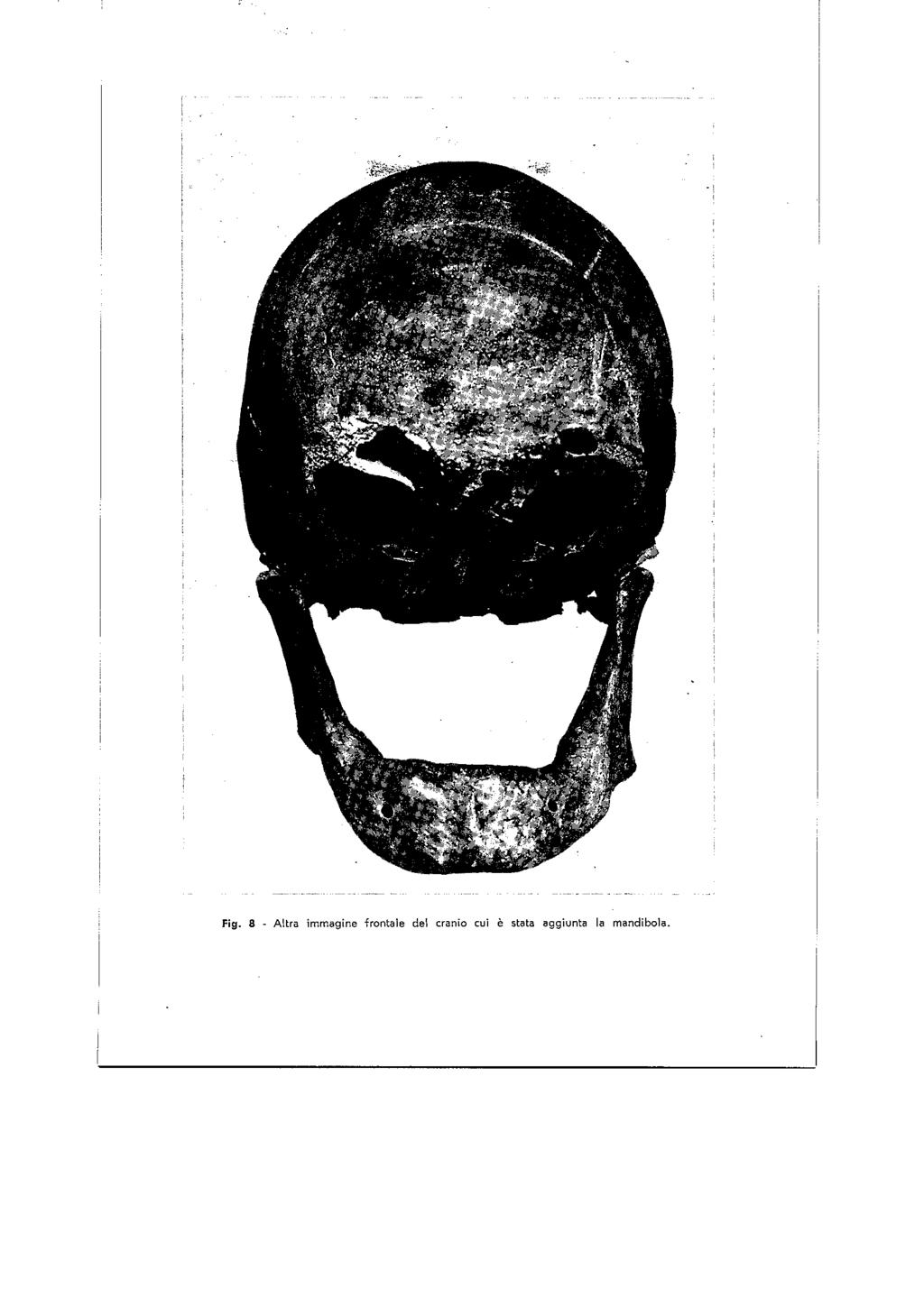 Fig. 8 - Altra immagine frontale del