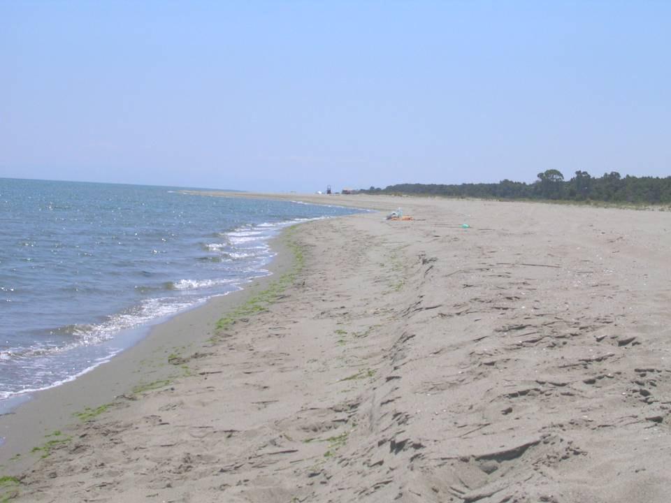 Problemi legati alla compatibilità granulmetrica del sedimento prelevato rispetto alla distribuzione originaria lungo il profilo di spiaggia.
