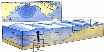 Onde marine (X) Propagazione di uno tsunami Osservando un treno d onde, fissando il punto di massima ampiezza