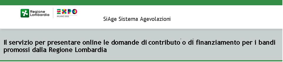 Finanziamenti on line - Manuale per la compilazione della