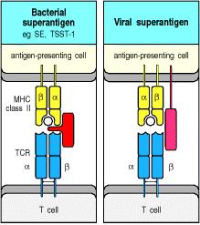 antigeni non