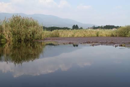 entro depressioni nel substrato roccioso Si sono sviluppate in clima più fresco Sono vulnerabili al trasporto di