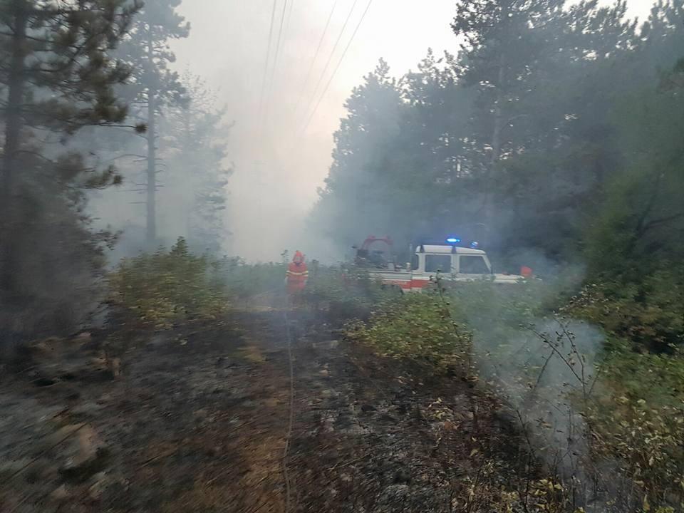Foto a sinistra (Lara Maurel): Incendio del 13 settembre 216 sulle pendici del Monte Sablici in Comune di Monfalcone, sono bruciati circa 1 ettari di bosco costituito da pinete di pino nero e ceduo