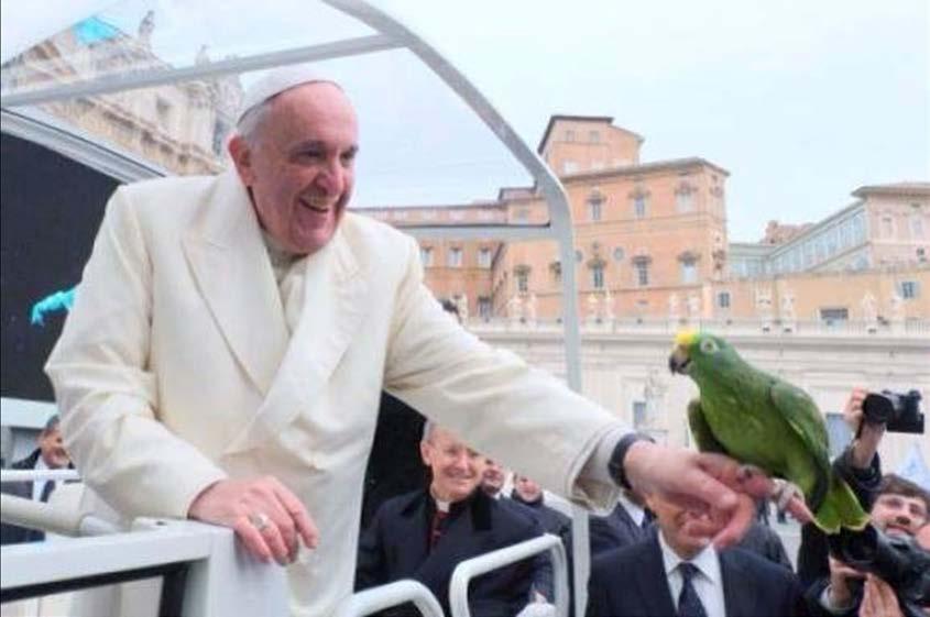 In occasione dell udienza con Papa Francesco, il Santo Padre attirato