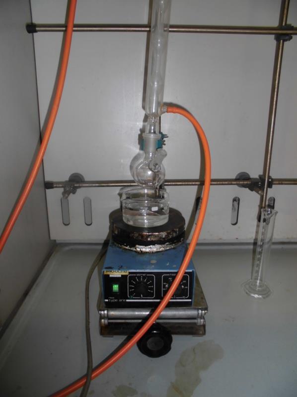 Procedimento laboratoriale di sintesi Inseriamo 30 ml di acqua in un pallone a due