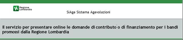 Finanziamenti on line - Manuale per la compilazione