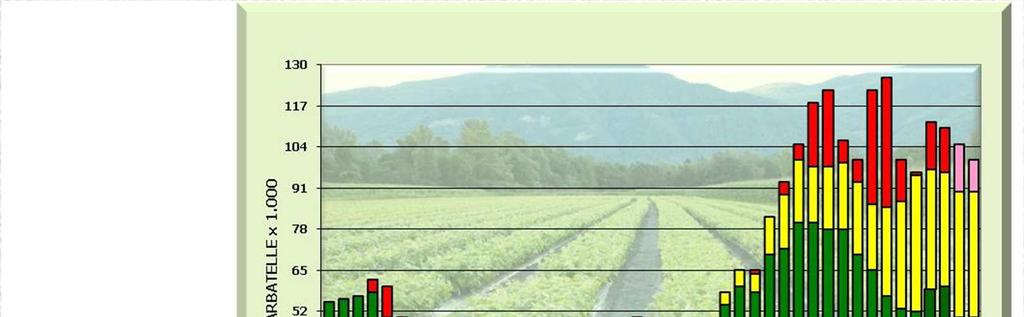 D. VIVAISMO PRODUZIONE DI BARBATELLE INNESTATE E TREND 1. Vigneto Italia per uve da vino: 1.098.000 ha (1982); 882.000 ha (1990) ; 675.000 ha(2000); 625.700 ha (2010). Calo 1.3% annuo 2.