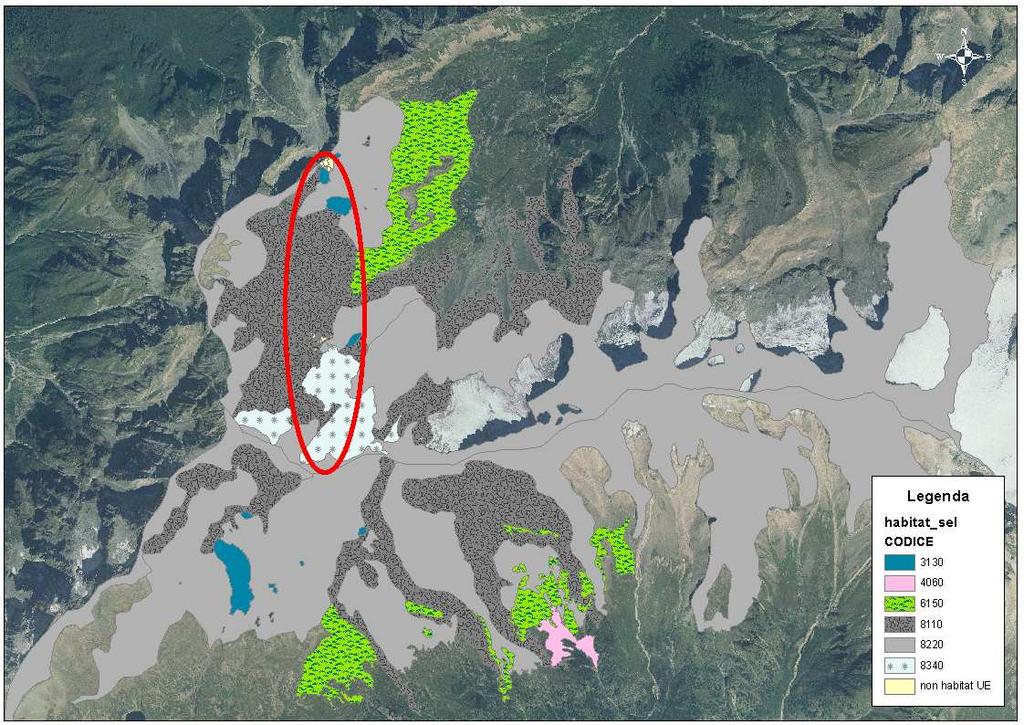 Figura 3-9 Habitat di interesse comunitario presenti nell area di indagine Il territorio in esame è caratterizzato dall'assenza quasi totale di fauna stanziale legata al territorio.