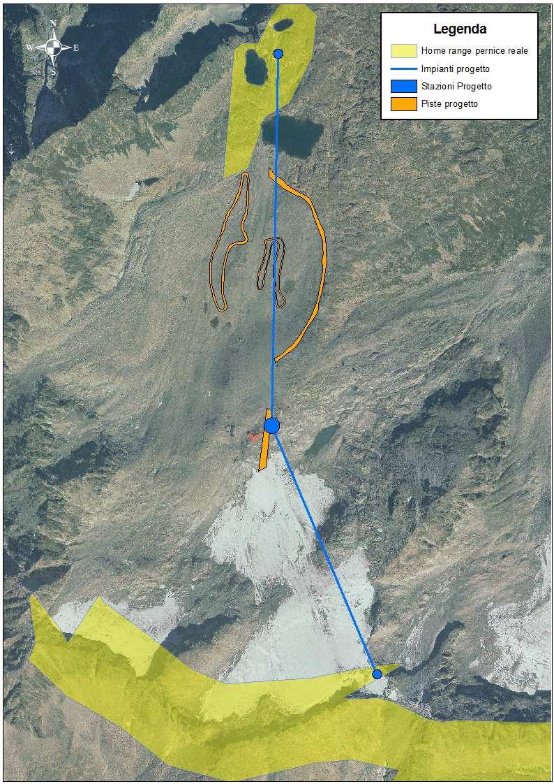 Interferenza con gli home range L analisi ha previsto il confronto tra la perimetrazione dell areale della specie faunistica maggiormente presente nel contesto territoriale (pernice bianca), e le