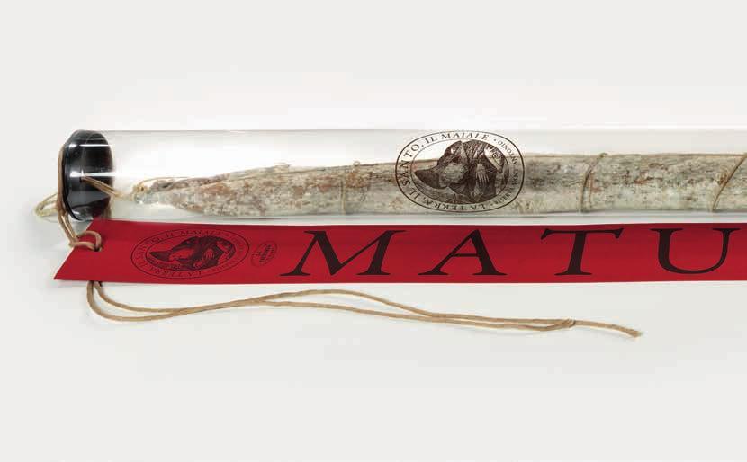 MatuSalam pezzatura intero confezionato a mano; lunghezza 105cm peso 1,400 pezzi per cartone 1