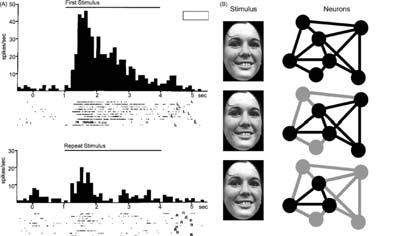 riconoscimeno degli oggei 11 Memoria Sensoriale - capacià limiaa (visiva: ~9 unià) - decadenza a brevissimo ermine (<1 secondo) - alamene specifica per maeriale perceivo