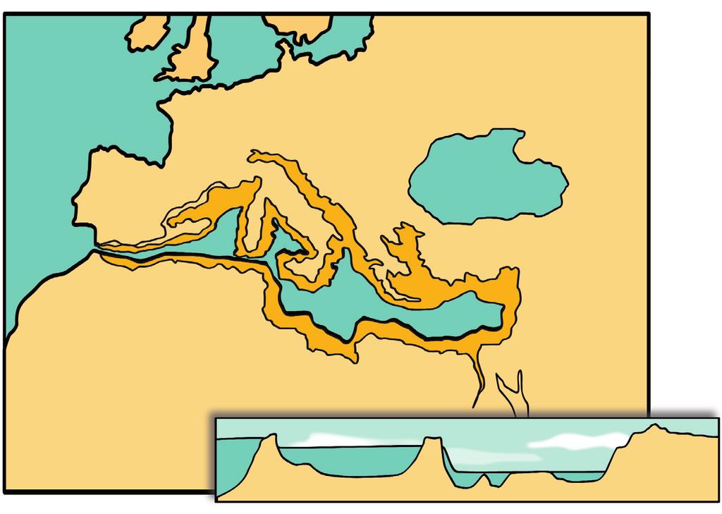 Crisi di salinità del Messiniano da 10 a 6 milioni di anni fa Al suo interno, in seguito all evaporazione e all abbassamento del livello del mare, si formano grandi